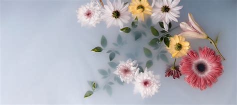 Arrangement Of Therapeutical Flowers Unveiling Tiamat