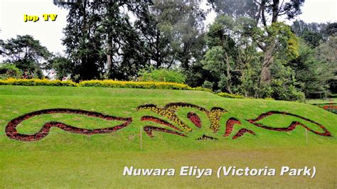 Nuwara Eliya Victoria Park Sri Lanka Reisebilderbuch Jop Tv Travel