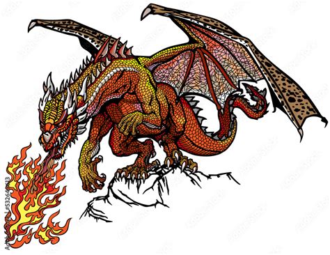Western Dragon Drawing