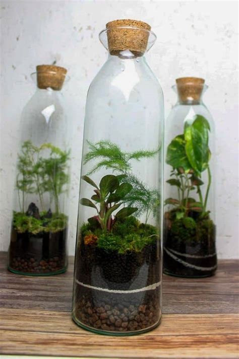 Terrarium Sand The Nitty Gritty Details Types And 3 Uses