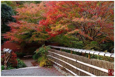 Autumn colors, Jikishi-an temple (直指庵), Kyoto | Japanese garden, Fall