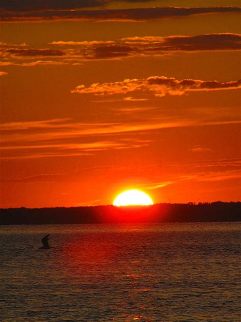 Red Hot Sunset On Long Beach Island Smithsonian Photo Contest