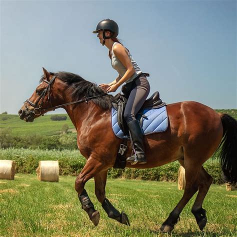 What To Wear Horseback Riding Essential Tips And Tricks