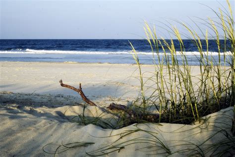 Distance from savannah, ga to myrtle beach, sc the total driving distance from savannah, ga to myrtle beach, sc is 226 miles or 364 kilometers. Savannah Bed & Breakfast Tybee Island Savannah Beach