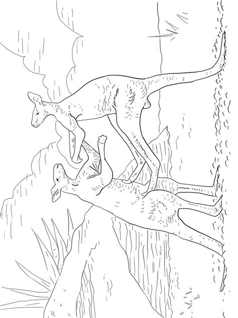 Maybe you would like to learn more about one of these? Kangaroo coloring pages. Download and print Kangaroo ...