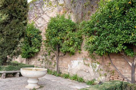 Medieval Gardens Design In Andalusian Style Trees Plants Flowers And