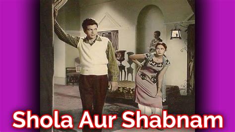 Shola Aur Shabnam 1961 Movie Lifetime Worldwide Collection Bolly Views Collection Lyrics