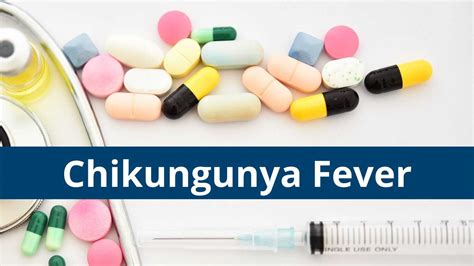 Chikungunya Fever Its Causes Symptoms And Treatment Marham