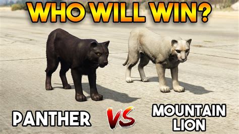 Gta 5 Online Panther Vs Mountain Lion Wwho Will Win Youtube