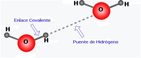 Fuerzas Intermoleculares Puentes De Hidrógeno