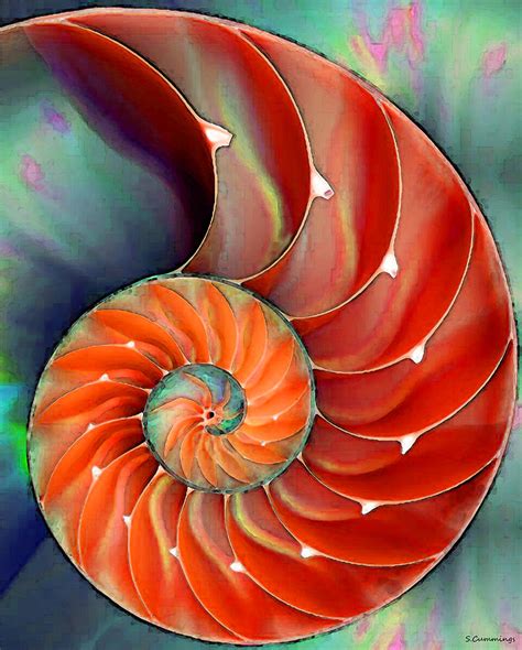 Nautilus Shell Natures Perfection Painting By Sharon