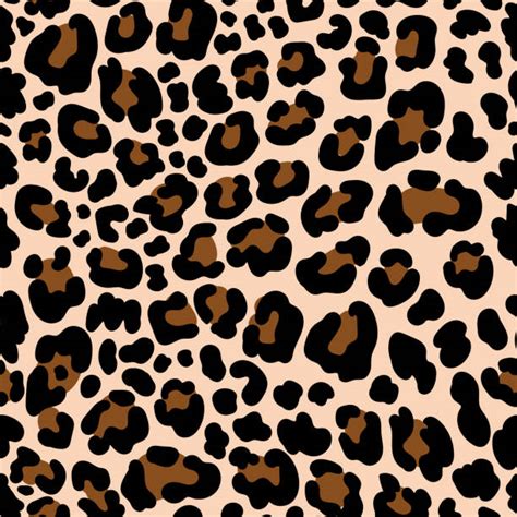 Cheetah Print Stock Photos Pictures And Royalty Free Images Istock