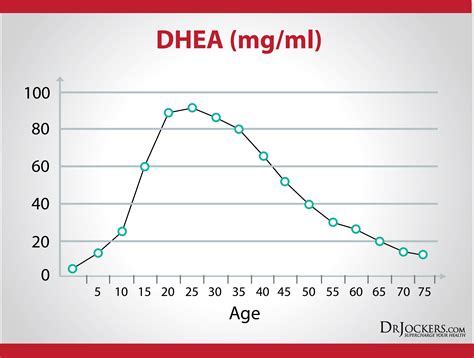 Tips To Boost Dhea Levels For Healthy Skin And Hormones