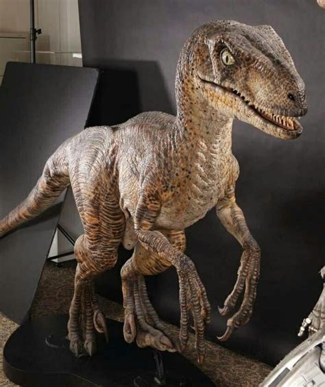 Velociraptors Of Jurassic Park Page 9 Statue Forum
