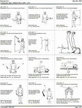 Shoulder Exercises Images
