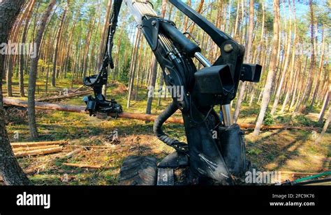 Wood Harvester Stock Videos Footage HD And 4K Video Clips Alamy