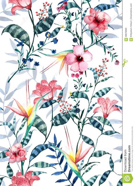 Terbaru 30 Wallpaper Flower Tropical Galeri Bunga Hd
