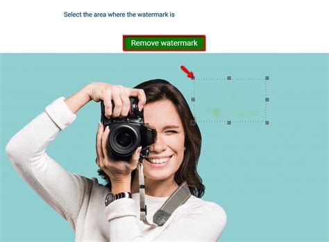 Here we're going to review 4 of the best tools that can help you delete watermarks from. Best Free Online Watermark Remover 2020