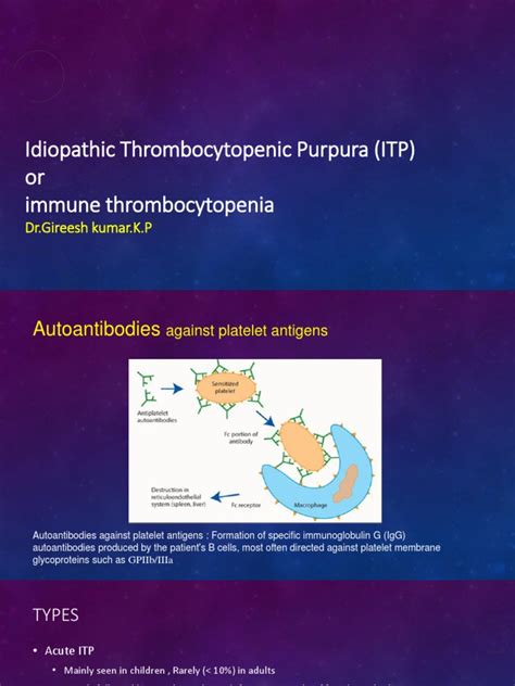 Idiopathic Thrombocytopenic Purpura Itp Or Immune Thrombocytopenia