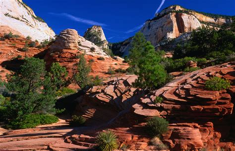 Welcome to zion national park. Zion National Park travel | The Southwest, USA - Lonely Planet