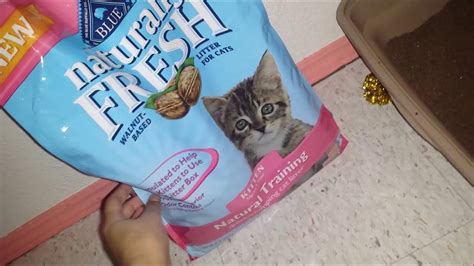 Blue Naturally Fresh Litter Kitten Review Youtube