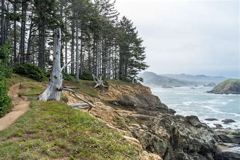 The 17 Best Hikes On The Oregon Coast Complete Oregon Coast Hiking Guide