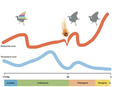 Climate Change Influences Biodiversity Evolution Of Birds Study Shows