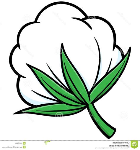 Cotton Plant Clip Art 19 Free Cliparts Download Images On Clipground 2023