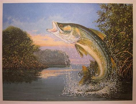 Snook Fish Art Print Florida Fishing Art Fishing Poster Etsy Fish