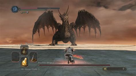 Dark Souls 2 Boss Fight Ancient Dragon Youtube