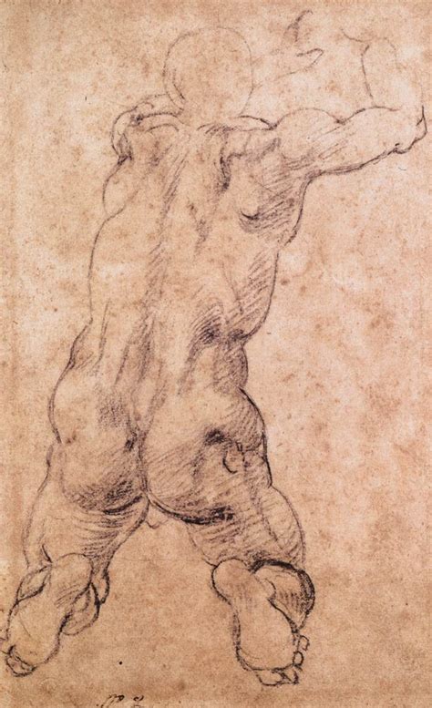 File Michelangelo Kneeling Male Nude Wikimedia Commons