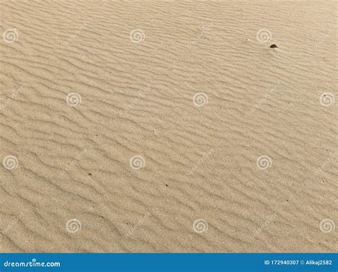 Sandy Background Windy Desert Backdrop Stock Image Image Of Rough