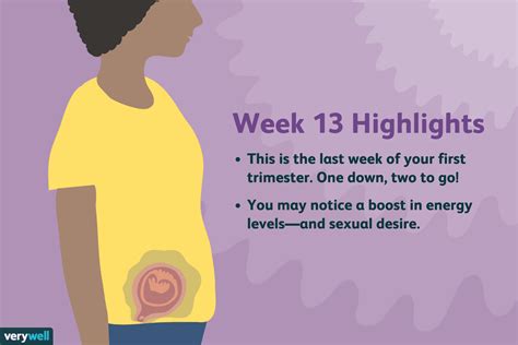 13 Weeks Pregnant Symptoms Baby Development And More
