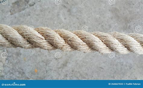 Close Up Of Ropes With Concrete Floor In Background Stock Image Image