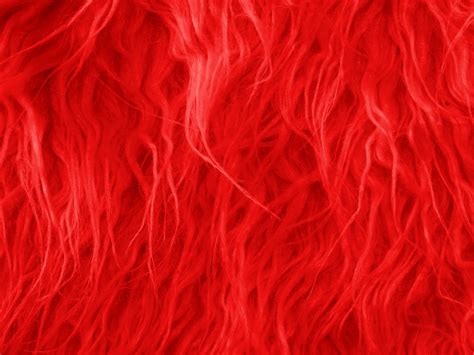 Red Fur Background Free Stock Photo Public Domain Pictures