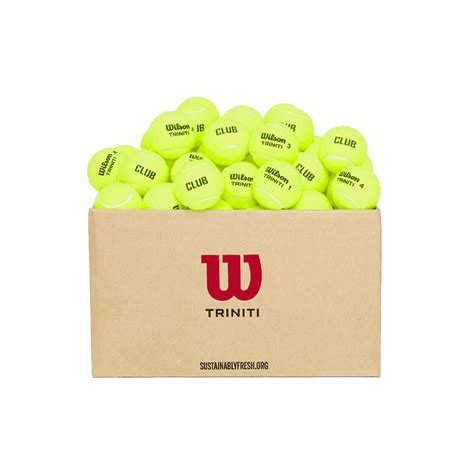 Wilson Triniti Club Tennis Balls Ball Carton Mdg Sports