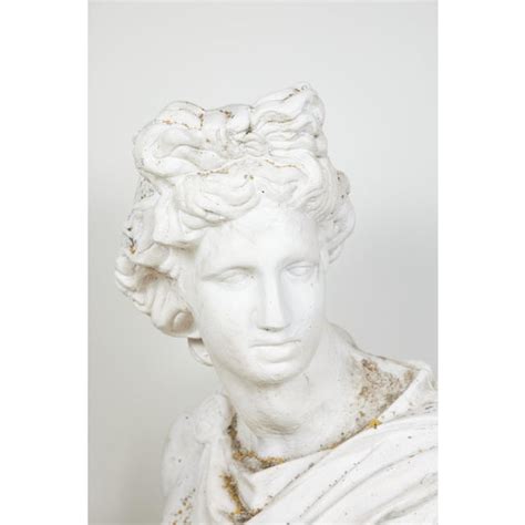 Bust Apollo Belvedere Chairish