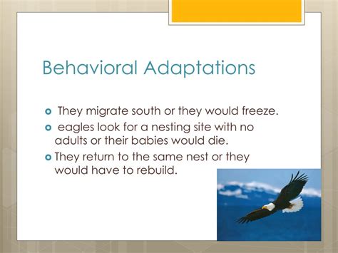 Ppt Bald Eagles Powerpoint Presentation Free Download Id1761675