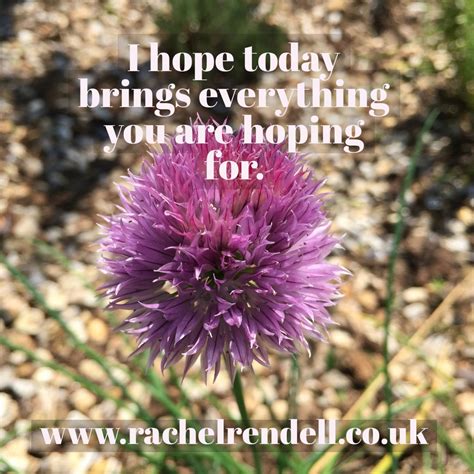 pin by rachel rendell healer and psychi on inspirational plants bring it on