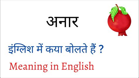 Anar Ko English Mein Kya Kahte Hai Anar Meaning In English Youtube