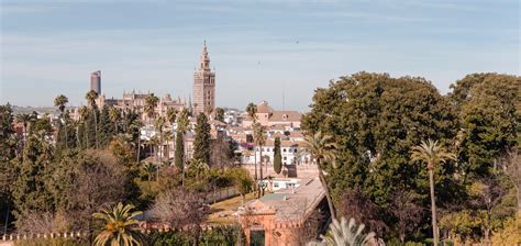 L'alcazar commença à prendre l'aspect d'un palais fortifié après la conquête de séville par les arabes, qui, dès 720, utilisèrent ces lieux comme résidence de leurs dirigeants. Hotel Alcázar | Seville | Official Website