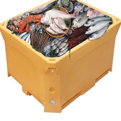 China Cheap High Quality Fish Cooler Box Insulated Plastic Cooler Box
