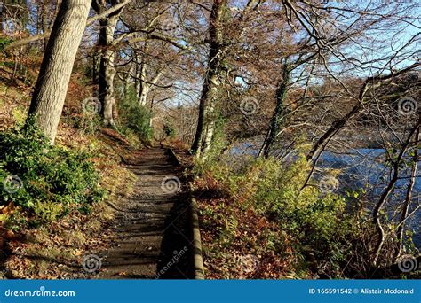 Lakeside Footpath On A Bright Winter Morning Stock Photo Image Of