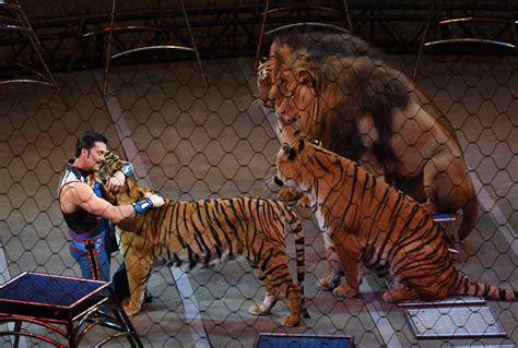 Circus Icon Ringling Bros Says Goodbye After 146 Years Nbc News