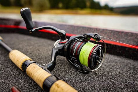 Shimano Vanford Vs Daiwa Bg Reel Comparison All Fishing Gear