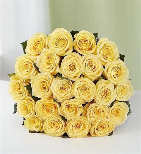 Rose Elegance Premium Long Stem Yellow Roses Same Day Flower Delivery