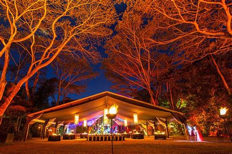 Are you looking into wedding venues & comparing costs? Wedding Venues Sunshine Coast Qld Flames Of The Forest ...