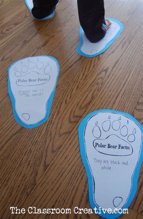 polar bear facts activity for kids free printable | Polar bear facts