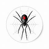Black Widow Spider Stickers Images