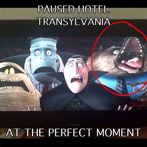 Hotel Transylvania Hotel Transylvania Transylvania Bendy And The